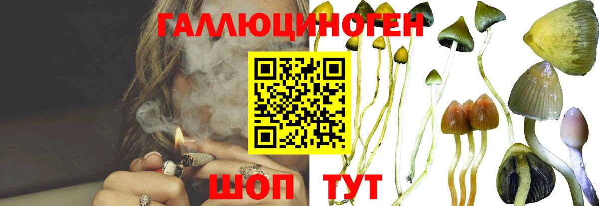Псилоцибиновые грибы Cubensis  дарнет шоп  Клин  Вход с VPN  Галлюциногенные грибы Psilocybine cubensis 